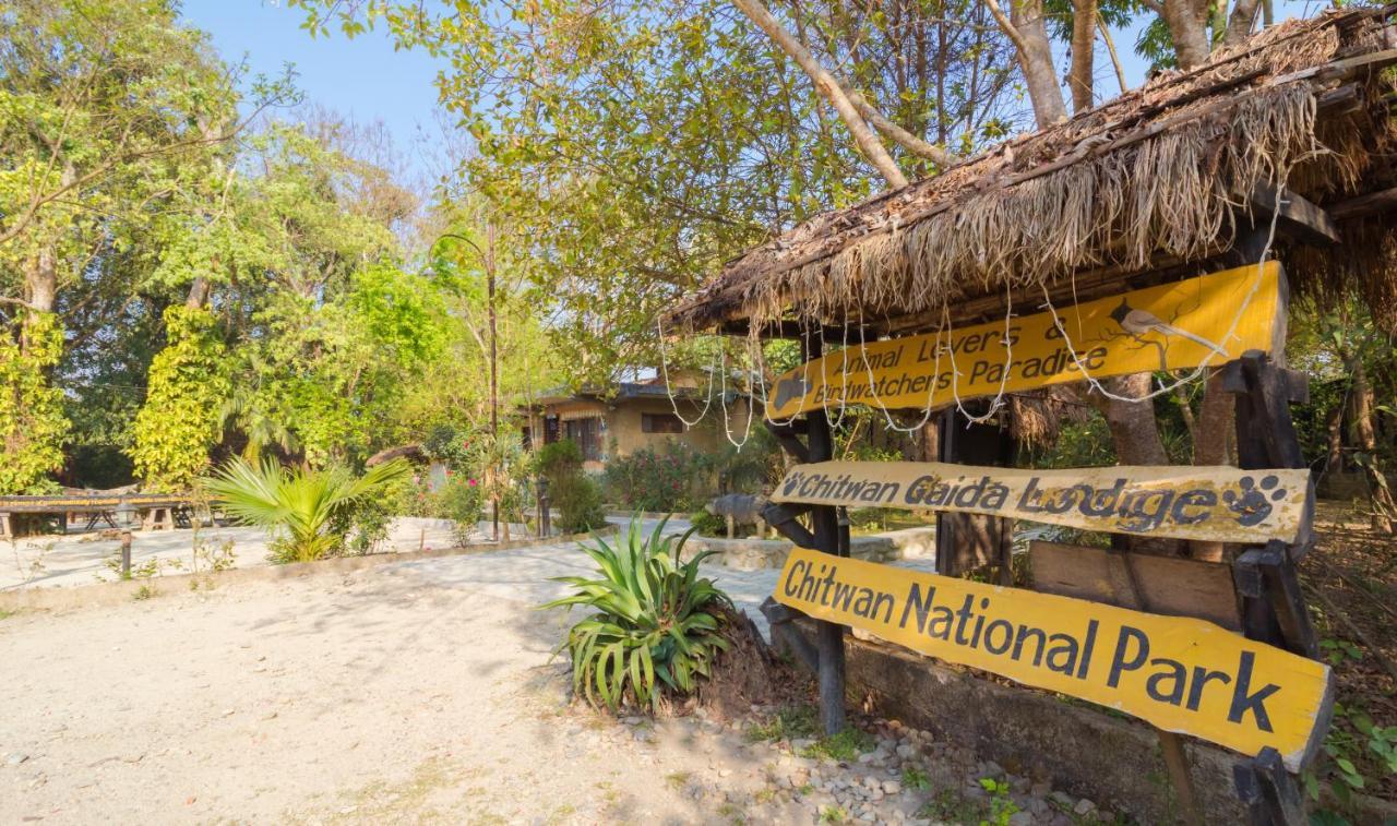 Chitwan Gaida Lodge - Animal Lovers & Birdwatchers Paradise Sauraha Luaran gambar