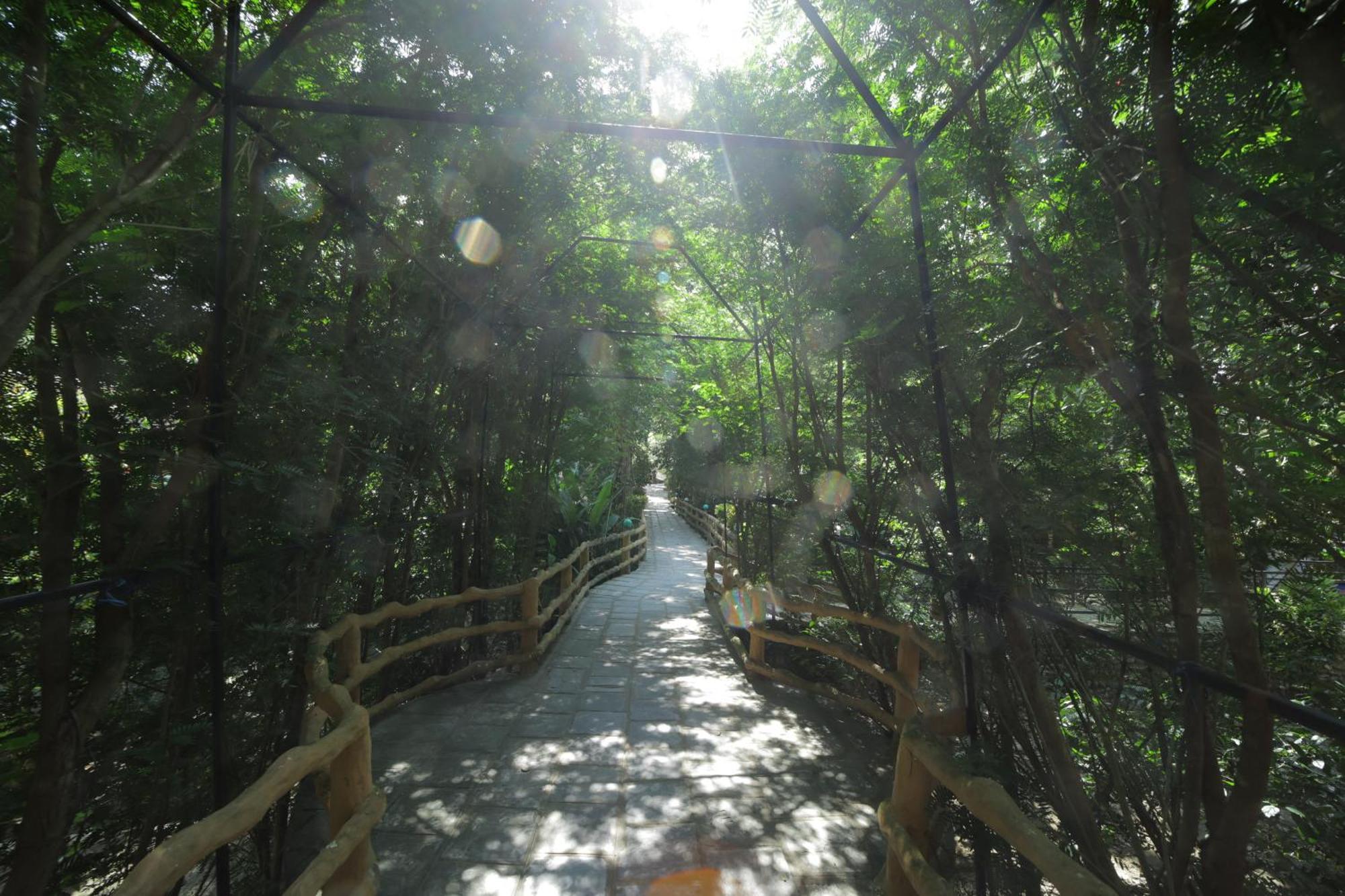 Chitwan Gaida Lodge - Animal Lovers & Birdwatchers Paradise Sauraha Luaran gambar
