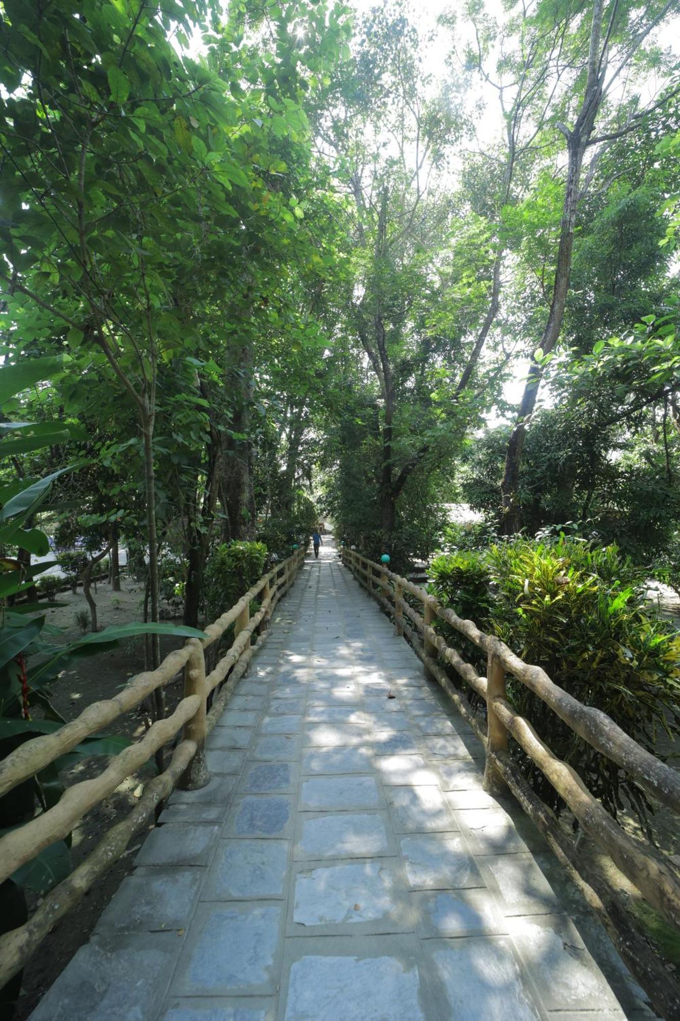Chitwan Gaida Lodge - Animal Lovers & Birdwatchers Paradise Sauraha Luaran gambar